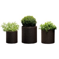 Набір горщиків для квітів Cylinder Planter Set, коричневий