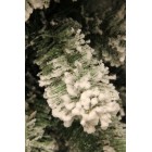 Сосна 2,15 м. Millington зелена зі снігом
