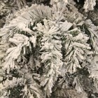 Вінок ø 0,45 см. Декоративний Dinsmore Frosted зелений зі снігом