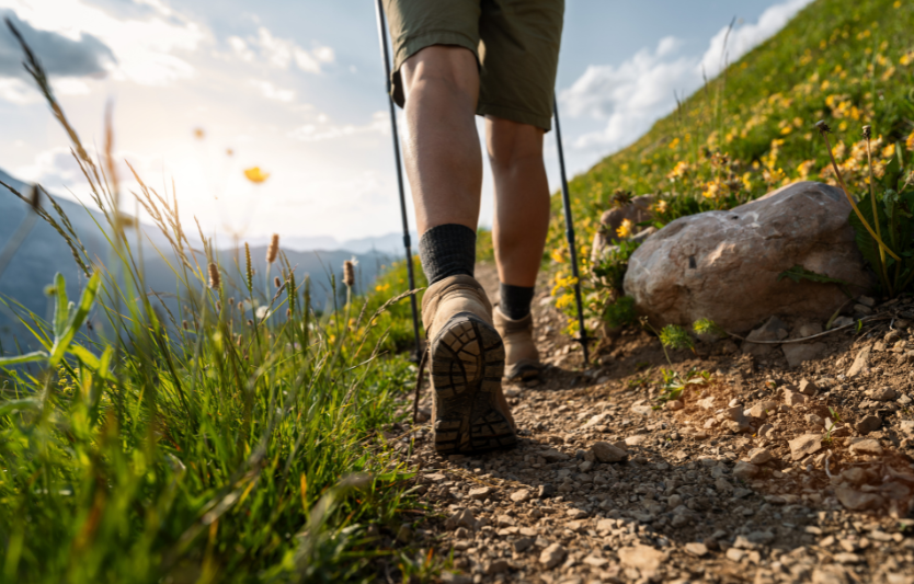 Вибір трекінгових палиць: на що звернути увагу під час підготовки до походу