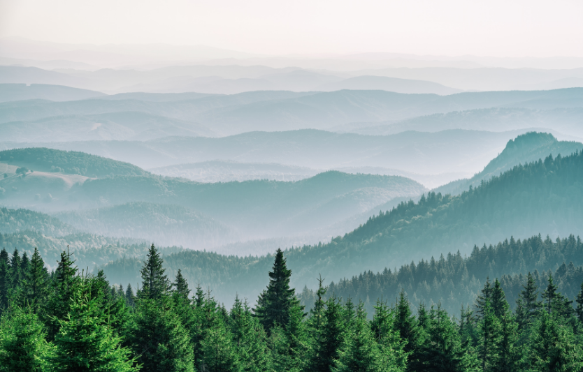Прогулянкові маршрути Карпат: ідеї для легких мандрів на один день