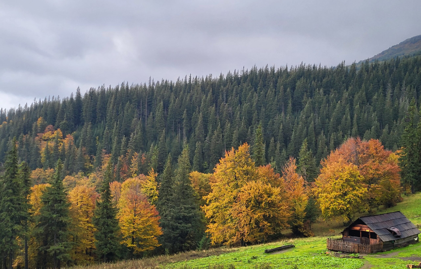 Драгобрат восени: як доїхати, підйомники та ідеї одноденних маршрутів
