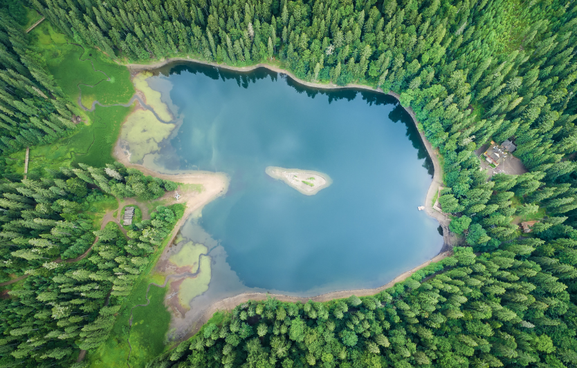 Невідомі перлини Закарпаття: долина нарцисів і озеро Синевир